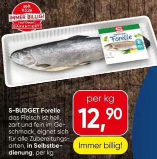 Forelle