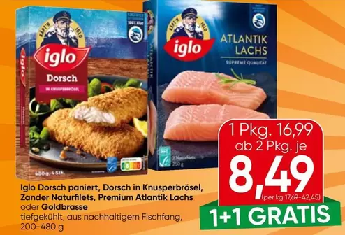 Supreme - Dorsch paniert, Dorsch in Knusperbrösel, Zander Naturfilets, Premium Atlantik Lachs