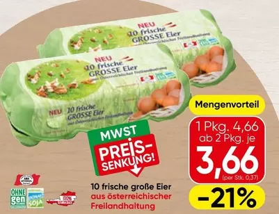 Ama - 10 frische große Eier