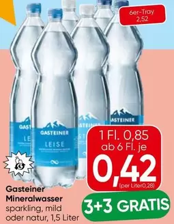 Gasteiner - Mineralwasser