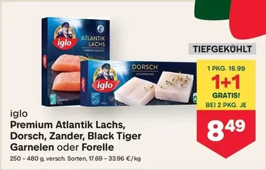 Supreme - Premium Atlantik Lachs, Dorsch, Zander, Black Tiger Garnelen oder Forelle