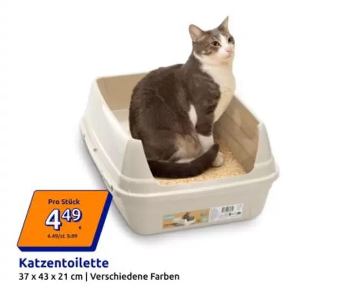 Katzen toilette