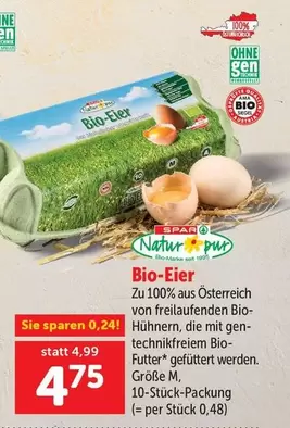 Bio - -Eier