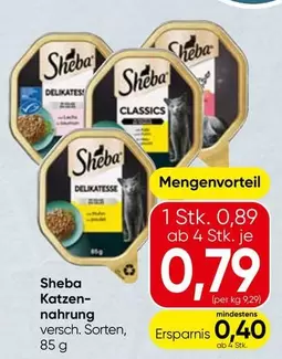 Katzen-nahrung