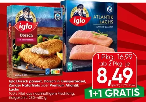 Supreme - Dorsch paniert, Dorsch in Knusperbrösel, Zander Naturfilets oder Premium Atlantik Lachs