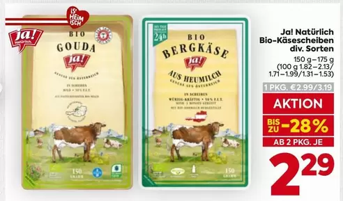 Bio - Gouda / Bergkäse