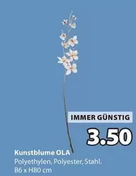 Kunstblume OLA