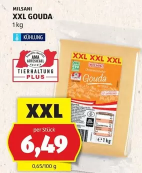 Ama - XXL GOUDA