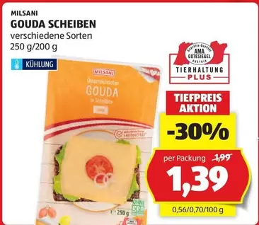 Ama - GOUDA SCHEIBEN