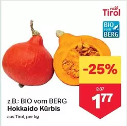 Bio - Hokkaido Kürbis