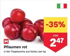 Pflaumen rot