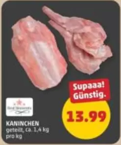 KANINCHEN geteilt