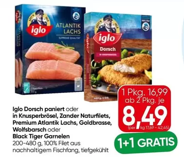Supreme - Dorsch paniert oder in Knusperbrösel, Zander Naturfilets, Premium Atlantik Lachs, Goldbrasse, Wolfsbarsch oder Black Tiger Garnelen