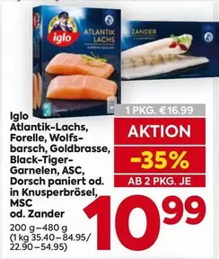 Zander - Atlantik-Lachs, Forelle, Wolfsbarsch, Goldbrasse, Black-Tiger-Garnelen, ASC, Dorsch paniert od. in Knusperbrösel, MSC od.