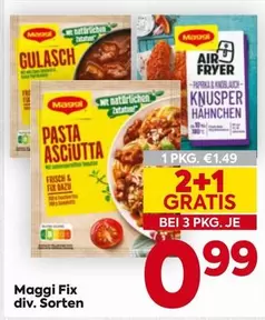 Maggi Fix div. Sorten