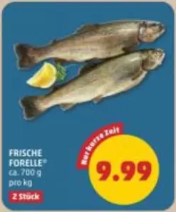 FRISCHE FORELLE