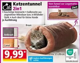 Kleine - Katzen Tunnel 2in1