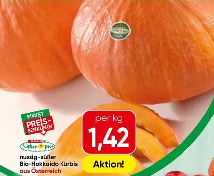 Bio-Hokkaido Kürbis
