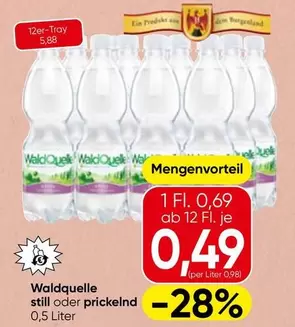 Waldquelle still oder prickelnd