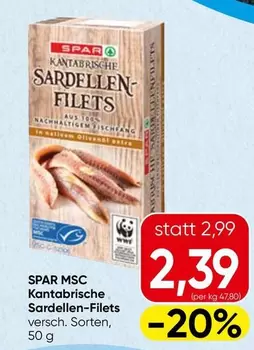 Sardellen-Filets