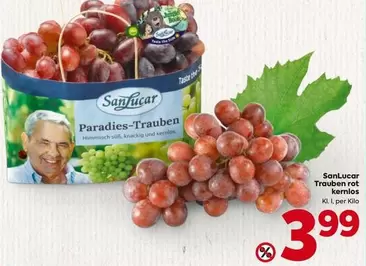 Paradies-Trauben rot kernlos