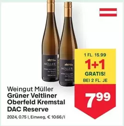 Grüner Veltliner Oberfeld Kremsal DAC Reserve