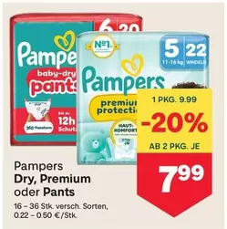 Pampers - Dry, Premium oder Pants