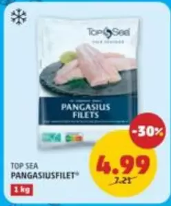 Pangasius Fillets