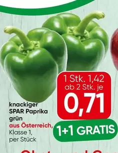 SPAR Paprika grün