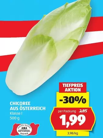 Ama - CHICOREE AUS ÖSTERREICH