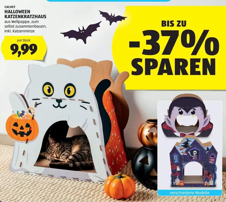 HALLOWEEN KATZENKRAZHUS