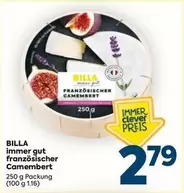 französischer Camembert