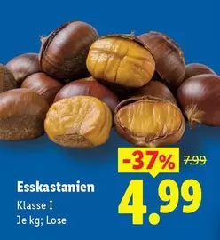 Esskastanien