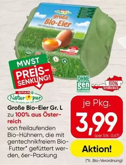 Bio - Große -Eier Gr. L