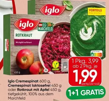 Rotkraut mit Apfel