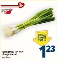 Jungzwiebel