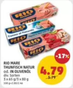 Thunfisch - THUNFISCH NATUR od. IN OLIVENÖL