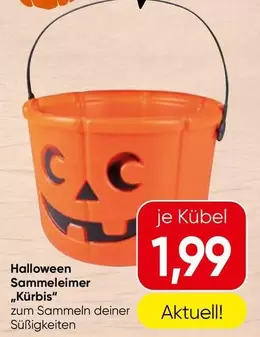 Halloween Sammel-Eimer "Kürbis"