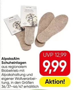 Schuheinalgen