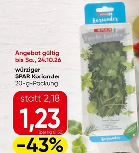 Koriander