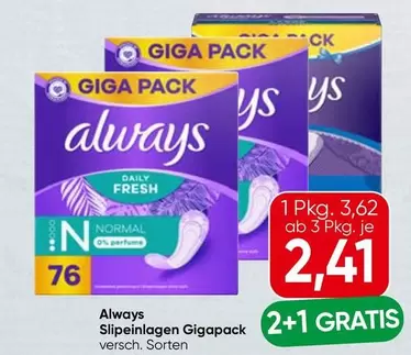 Slipeinlagen Gigapack