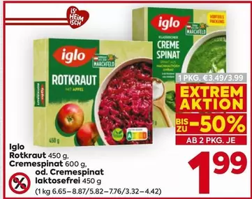 Rotkraut / Cremespinat