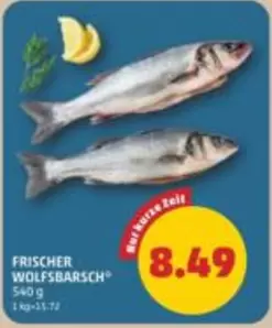 WOLFSBARSCH