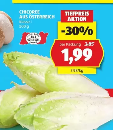 Ama - CHICOREE AUS ÖSTERREICH