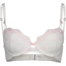Push-Up BH