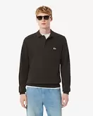 Rippstrick-Sweatshirt aus Baumwolle mit Polokragen