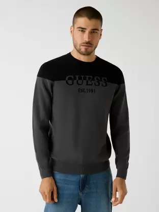 Sweatshirt mit Logo auf der Vorderseite