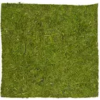 Moosmatte, 35 x 35 cm