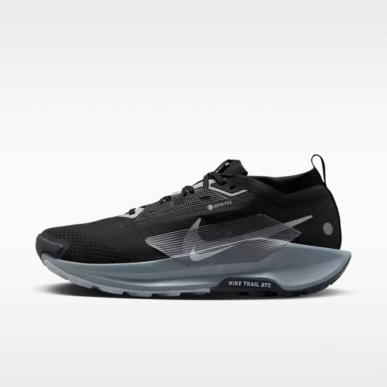 Nike Pegasus Trail 5 GORE-TEX