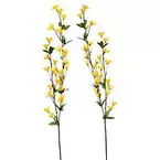 Forsythienzweig, 75 cm, 2 Stück